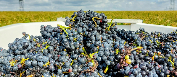 Content Timeline Image