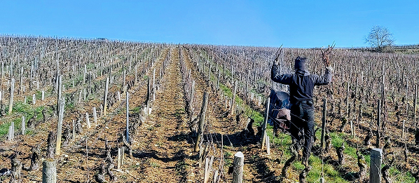 Content Timeline Image